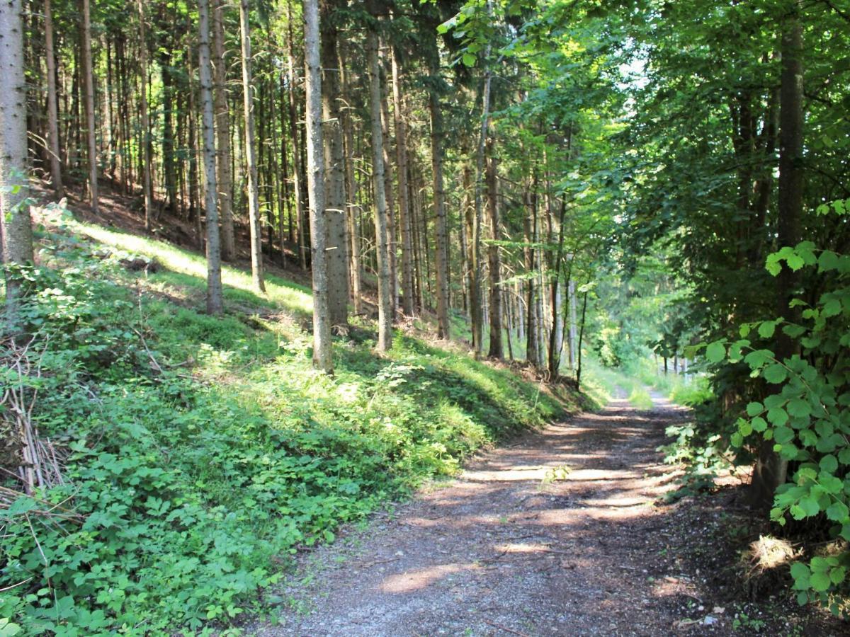 Apartment In Koettmannsdorf Near Bathing Lake Wurdach 외부 사진